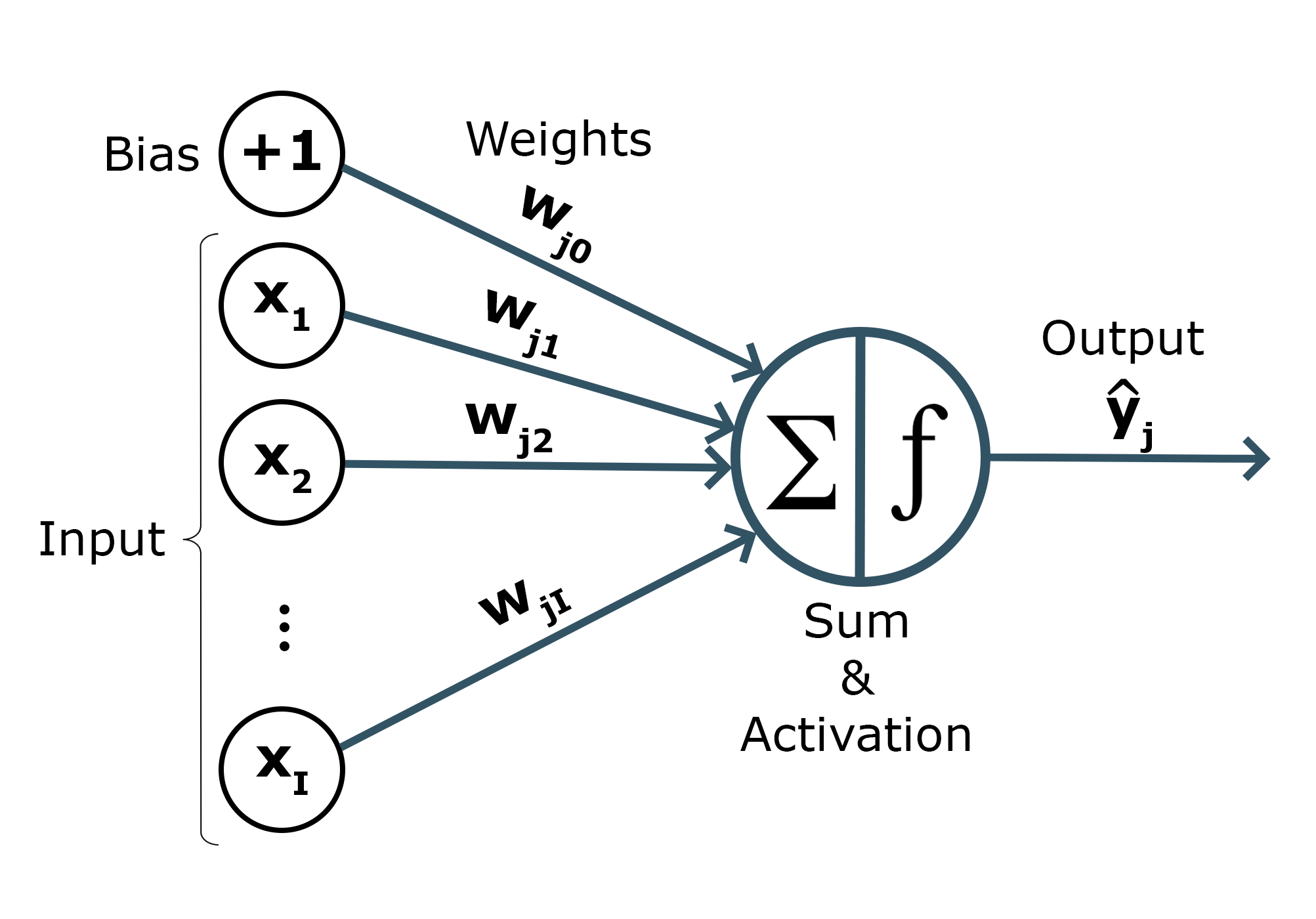 Perceptron