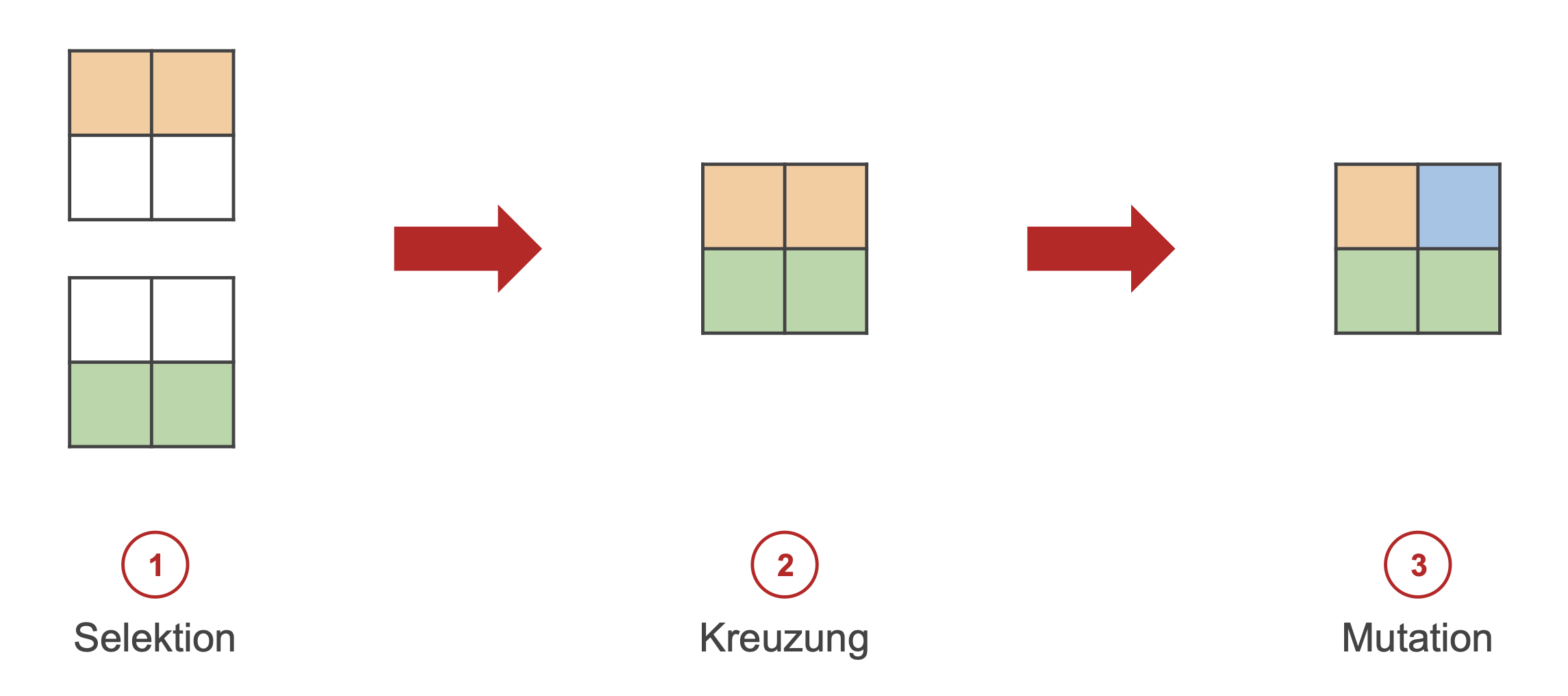 Operanden